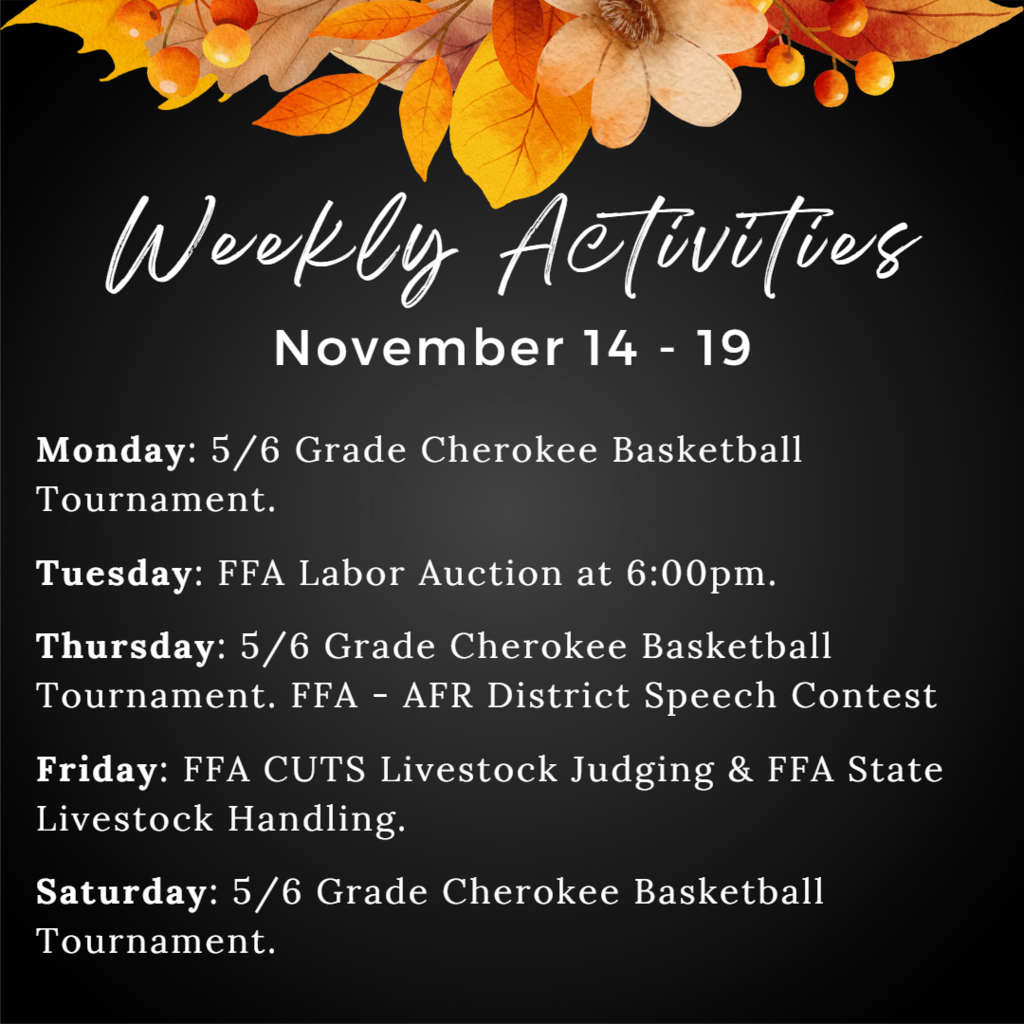 Weekly Activities Nov 14-19